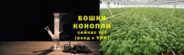 индика Краснотурьинск