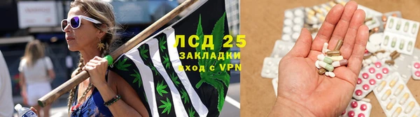 гидра Костерёво
