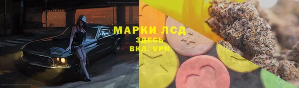 гидра Костерёво