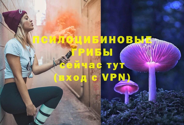 гидра Костерёво