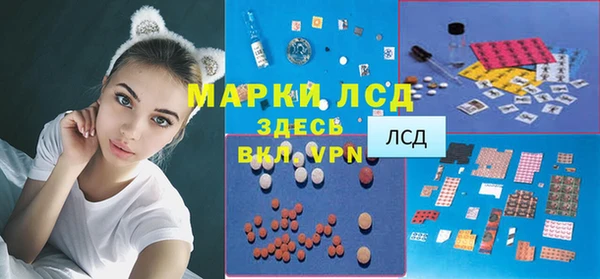 гидра Костерёво