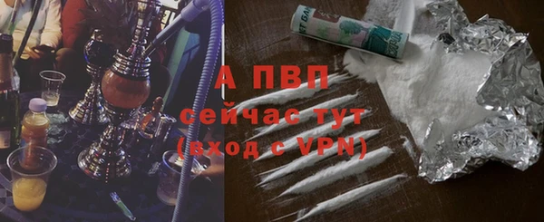 ГАЛЛЮЦИНОГЕННЫЕ ГРИБЫ Коряжма